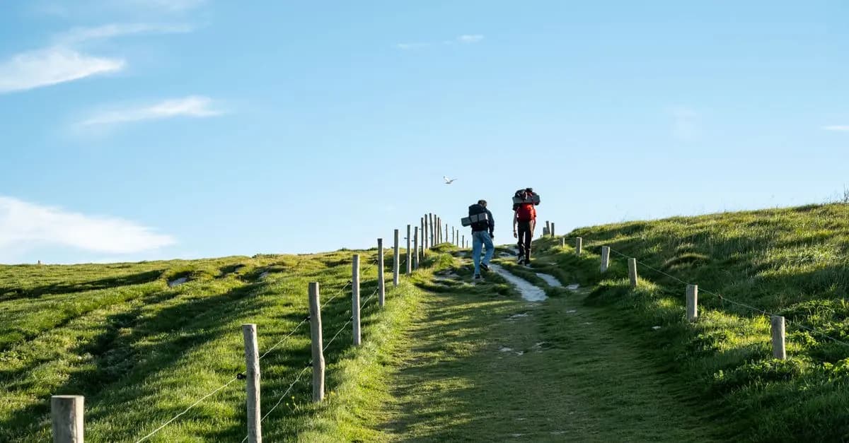 Todo lo que necesitas saber sobre el Camino de Santiago