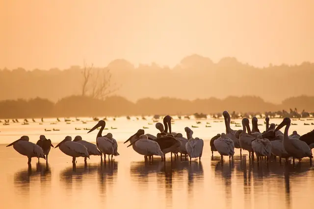 Los mejores destinos de ecoturismo en España para disfrutar la naturaleza