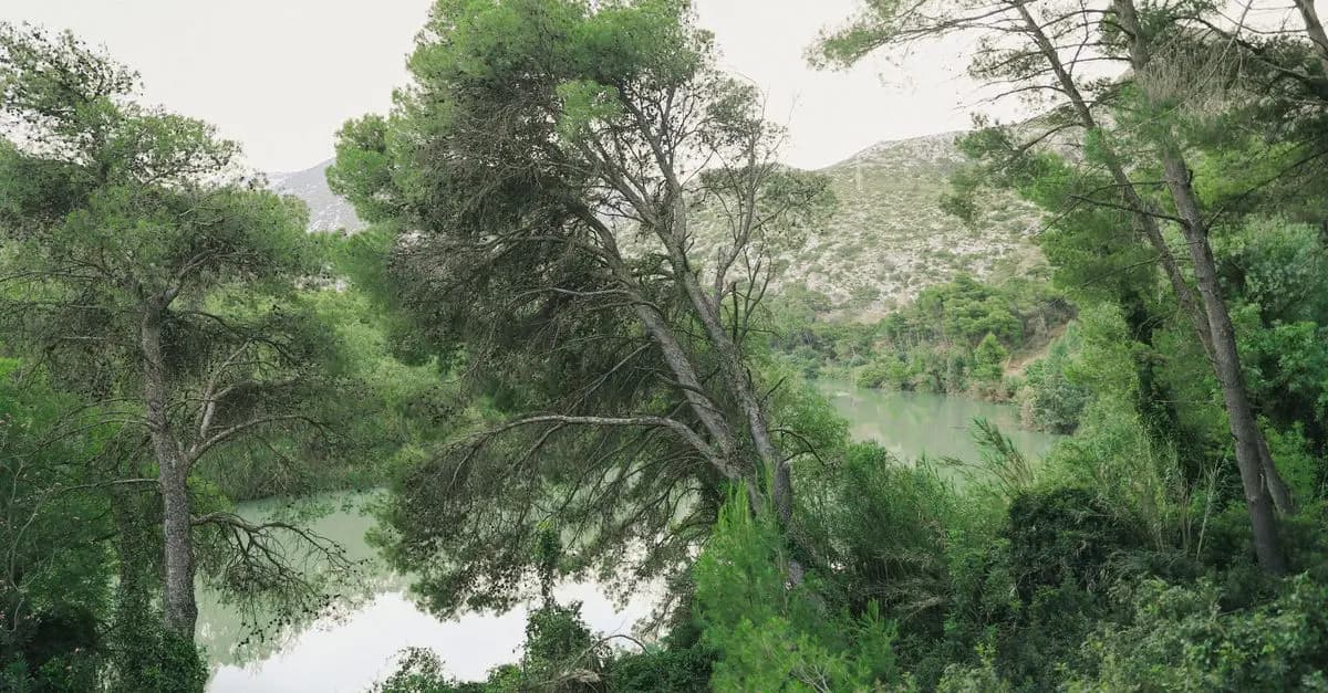 10 consejos para viajar de manera sostenible por España