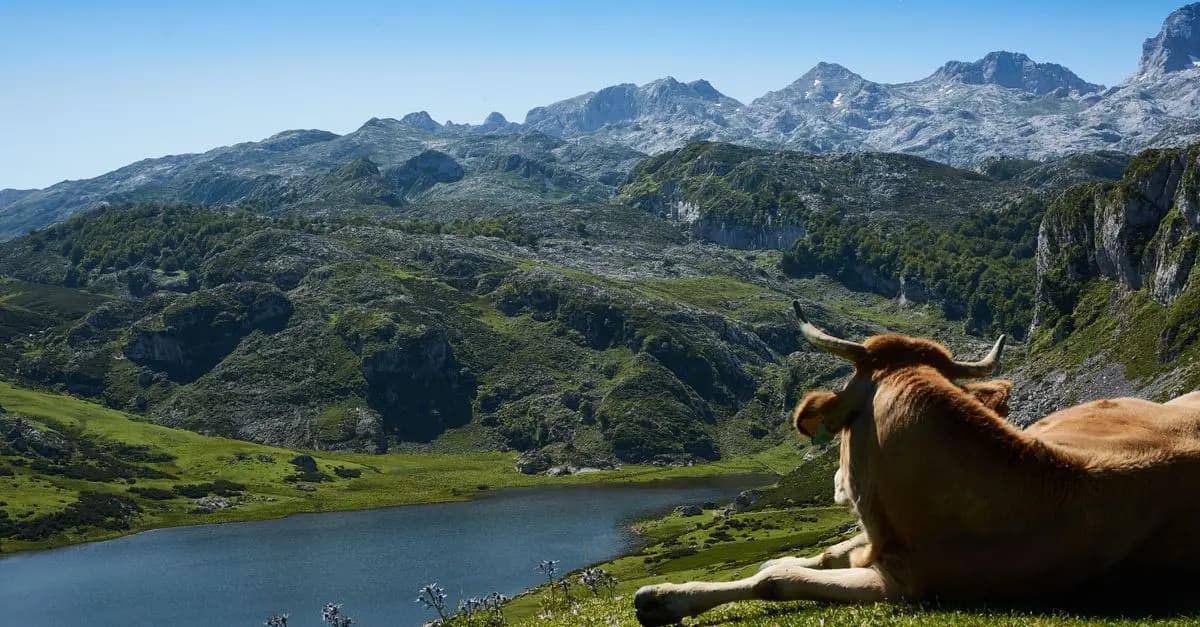 10 consejos para un viaje sostenible por España