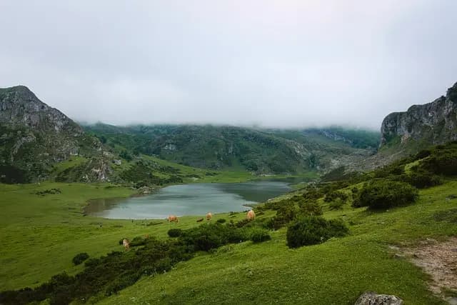 Los mejores destinos para el ecoturismo en España