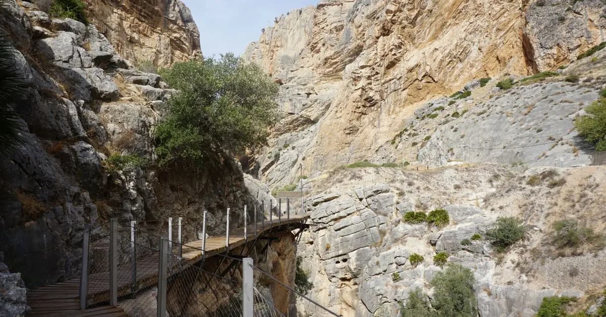 Las mejores experiencias de ecoturismo en España que debes probar