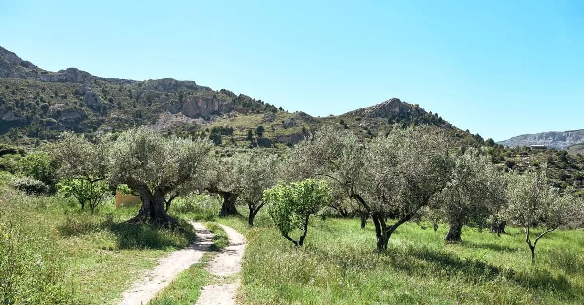 Las mejores rutas de senderismo para explorar España