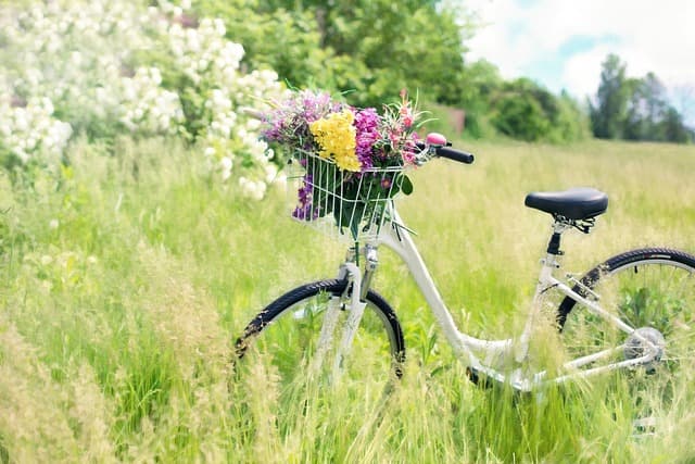 Guía de las mejores rutas en bicicleta para explorar España
